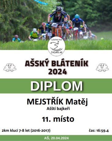 Diplom - Matýsek Mejstřík