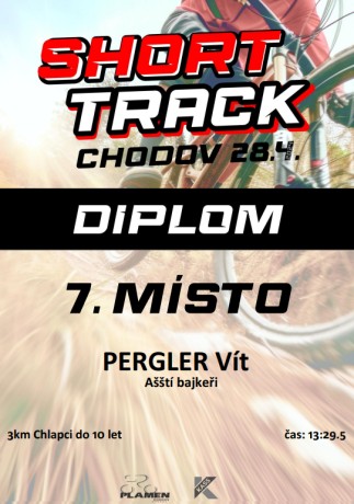 Diplom - Vítek Pergler