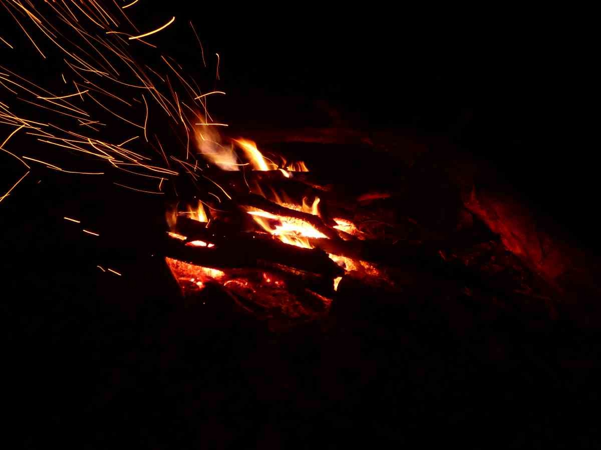 p1020289.jpg