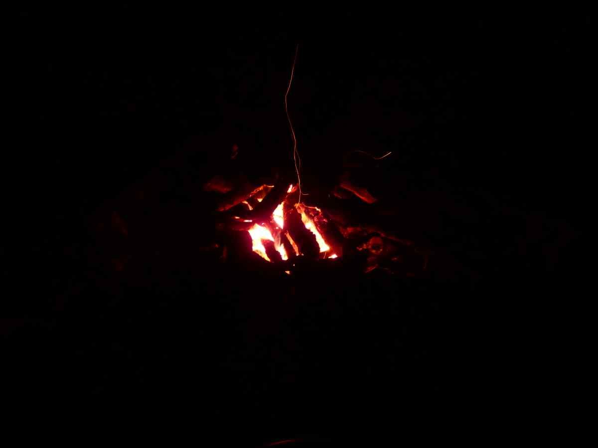 p1020517.jpg